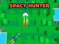 Žaidimas Space Hunter  internete