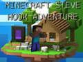 Žaidimas „Minecraft“ Steve'o Hooko nuotykis  internete