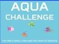 Žaidimas „Aqua Challenge“.  internete
