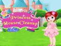 Žaidimas Princesės namų valymas  internete