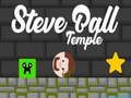 Žaidimas Steve'o Ballo šventykla  internete