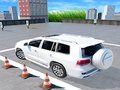 Žaidimas Prado automobilių stovėjimo aikštelė  internete