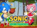 Žaidimas „Sonic“ paslėpti deimantai internete