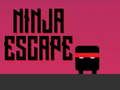 Žaidimas Nindzių pabėgimas  internete