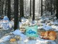 Žaidimas Winter Wonderland miško nuotykis  internete