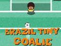 Žaidimas Mažasis Brazilijos vartininkas internete Žaidimas Mažasis Brazilijos vartininkas internete