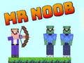 Žaidimas Ponas Noob  internete