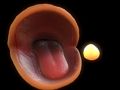 Žaidimas Pac-Man internete