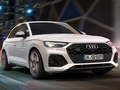 Žaidimas „Audi SQ5 TDI“ skaidrė internete