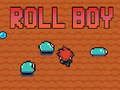 Žaidimas Roll Boy internete