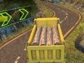 Žaidimas „Euro Truck Drive“ internete