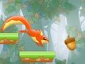 Žaidimas Nut Rush vasaros sprintas  internete