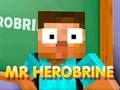 Žaidimas Ponas Herobrine internete Žaidimas Ponas Herobrine internete