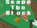 Žaidimas Scape Block internete