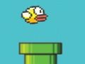 Žaidimas „Flappy Bird Adventure“.  internete