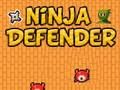 Žaidimas Nindzių gynėjas  internete