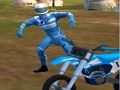 Žaidimas Dirt Bike Max dvikova  internete