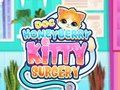 Žaidimas Doc HoneyBerry Kitty chirurgija  internete