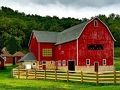Žaidimas Padėkos diena Rustic Farm Escape  internete