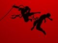 Žaidimas Run Ninja Run internete