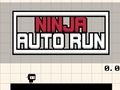 Žaidimas „Ninja Auto Run“ internete