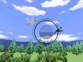 Žaidimas Wii Sports paukščių stebėjimas  internete