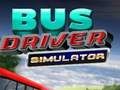 Žaidimas Autobuso vairuotojo simuliatorius  internete