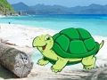 Žaidimas Paplūdimio krabų poros pabėgimas  internete