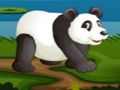Žaidimas Futbolo panda  internete