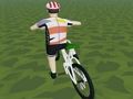 Žaidimas Jojimas Extreme 3D  internete