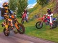 Žaidimas Motokroso vairavimo simuliatorius  internete