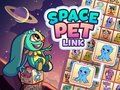 Žaidimas Space Pet Link internete