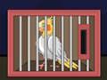 Žaidimas Išleisk The Cockatiel Bird  internete