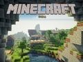 Žaidimas Minecraft internete  internete