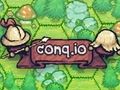 Žaidimas Conq. io  internete