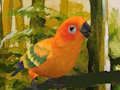 Žaidimas Mielas Budgie galvosūkis  internete