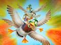 Žaidimas „Migration Flappy Duck“.  internete
