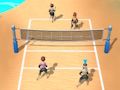 Žaidimas Paplūdimio tinklinis 3d  internete