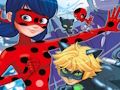 Žaidimas Ladybug Raskite skirtumus  internete