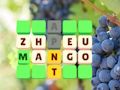 Žaidimas Word skaidrė  internete