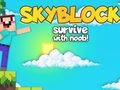 Žaidimas „SkyBlock“ išgyvena su Noobu! internete
