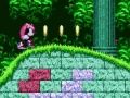 Žaidimas Galingas ir spindulys „Sonic 2“ internete