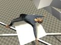 Žaidimas Ragdoll testas  internete