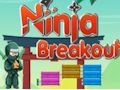 Žaidimas „Ninja Breakout“ internete