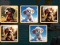 Žaidimas Doggie Duo atradimai  internete