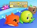 Žaidimas „Pac Xon New“ sferos internete