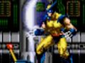 Žaidimas Wolverine – Adamantium Rage  internete