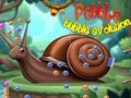 Žaidimas Pebble burbulo evoliucija internete