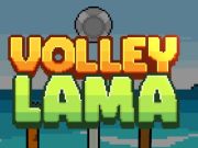 Žaidimas Volley lama internete