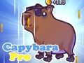Žaidimas „Capybara Pro“ internete